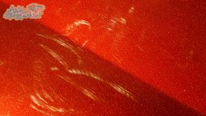 Wiessmann MF3 Aufbereitung