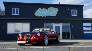 Wiessmann MF3 Aufbereitung