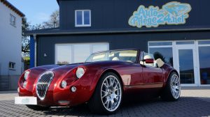 Wiessmann MF3 Aufbereitung