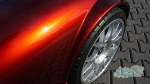 Wiessmann MF3 Aufbereitung