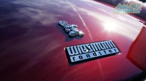 Wiessmann MF3 Aufbereitung