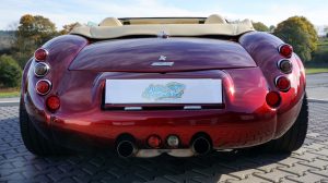 Wiessmann MF3 Aufbereitung