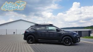 Citroen Cactus Komplettaufbereitung